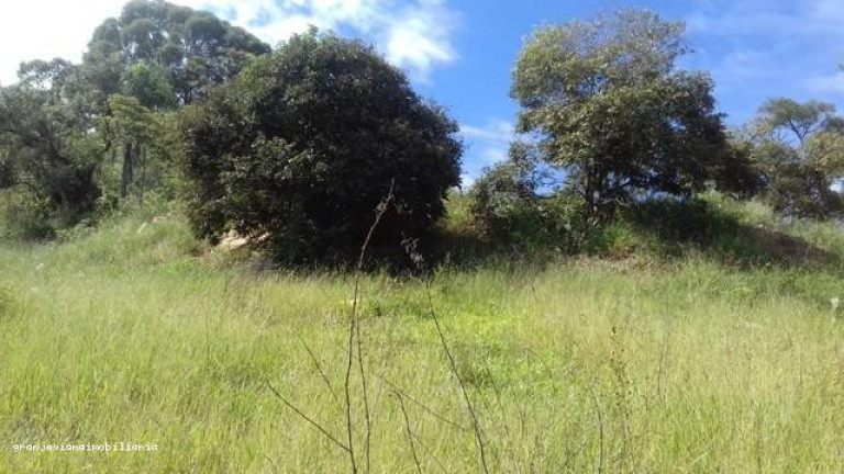 Imagem Chácara à Venda, em Bairro Jardim Brasília - São Roque Imagem Chácara à Venda, em Bairro Jardim Brasília - São Roque
