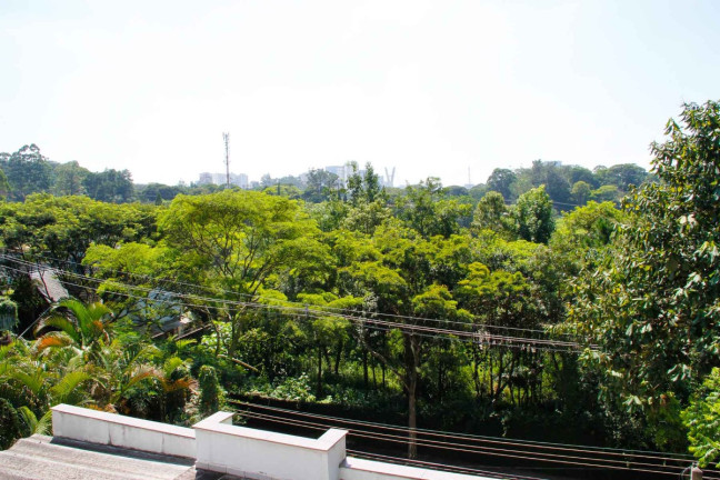 Imagem Casa com 4 Quartos à Venda, 366 m² em Fazenda Morumbi - São Paulo Imagem Casa com 4 Quartos à Venda, 366 m² em Fazenda Morumbi - São Paulo