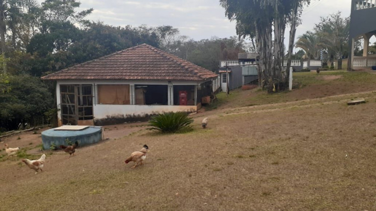 Imagem Imóvel com 3 Quartos à Venda, 500 m² em Vila Americana - Tatuí