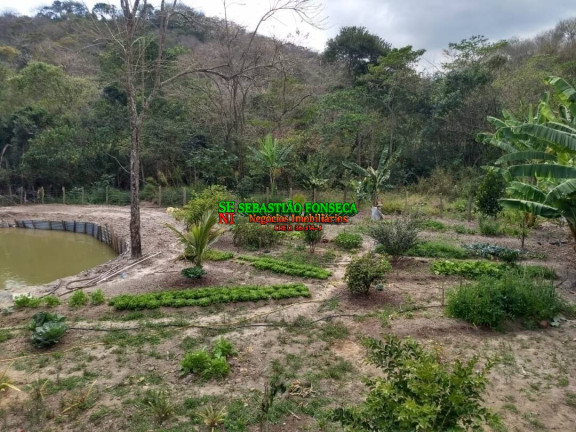 Chácara com 1 Quarto à Venda, 21.000 m² em Centro - Caçapava