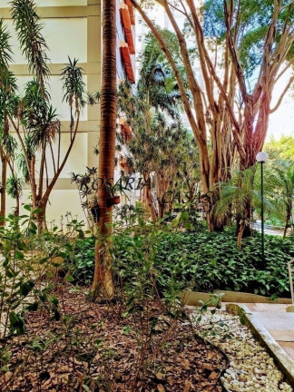 Imagem Apartamento com 3 Quartos à Venda, 80 m² em Chácara Flora - São Paulo Imagem Apartamento com 3 Quartos à Venda, 80 m² em Chácara Flora - São Paulo