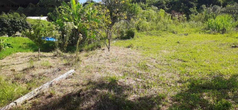 Imagem Terreno à Venda, 1.016 m² em Floresta - Picada Café