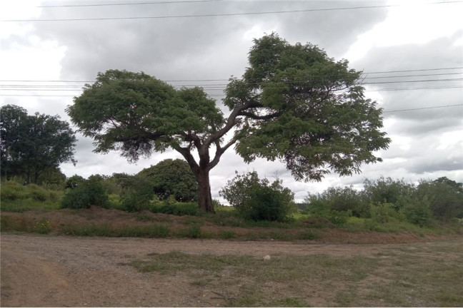 Imagem Terreno à Venda, 2.000 m² em Fazendinha - Salto De Pirapora Imagem Terreno à Venda, 2.000 m² em Fazendinha - Salto De Pirapora