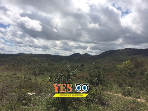 Imagem Terreno à Venda, 74.100 m² em Barreiro - Alagoinhas Imagem Terreno à Venda, 74.100 m² em Barreiro - Alagoinhas