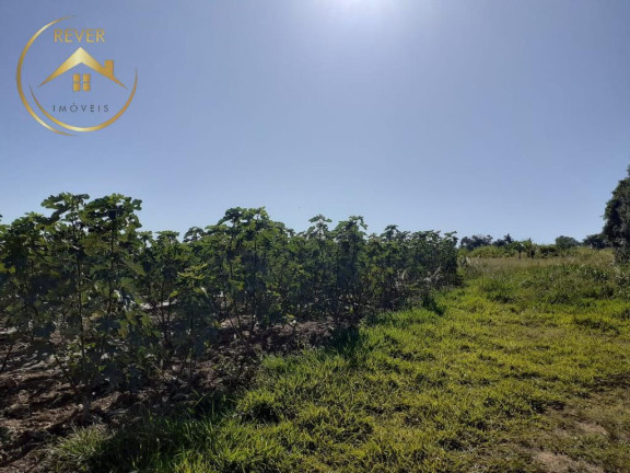 Imagem Imóvel com 9 Quartos à Venda, 69.700 m² em Reforma Agrária - Valinhos