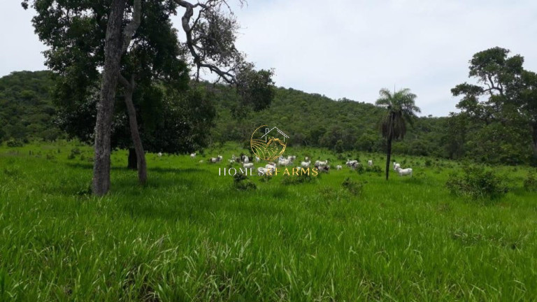 Imagem Imóvel com 3 Quartos à Venda, em Zona Rural - Crixás Imagem Imóvel com 3 Quartos à Venda, em Zona Rural - Crixás