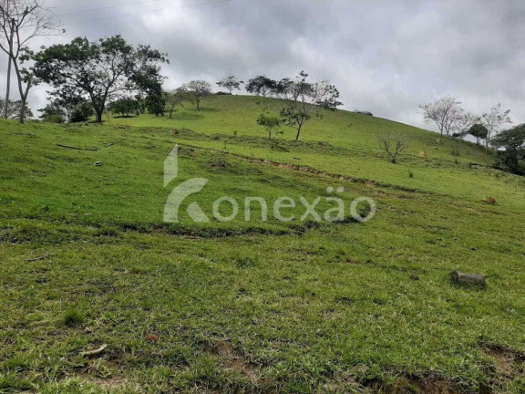 Imagem Fazenda à Venda, 600 m² em Cedro - Paraibuna Imagem Fazenda à Venda, 600 m² em Cedro - Paraibuna