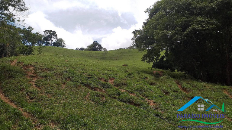 Imagem Chácara à Venda, 7 m² em Centro - Paraisópolis Imagem Chácara à Venda, 7 m² em Centro - Paraisópolis
