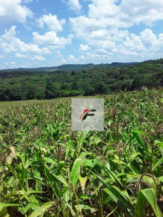 Imagem Imóvel à Venda, 117.000 m² em água Amarela - Antônio Olinto Imagem Imóvel à Venda, 117.000 m² em água Amarela - Antônio Olinto