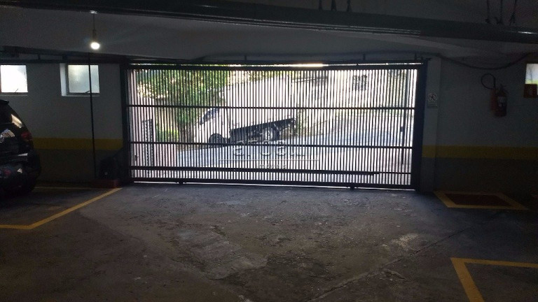 Imagem Apartamento com 3 Quartos à Venda, 150 m² em Piqueri - São Paulo