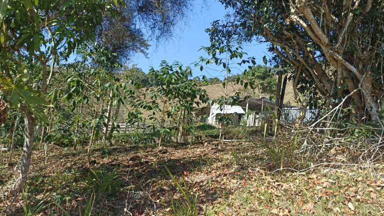 Imagem Chácara com 3 Quartos à Venda, 500 m² em Cedro - Paraibuna Imagem Chácara com 3 Quartos à Venda, 500 m² em Cedro - Paraibuna