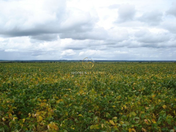 Imagem Imóvel com 3 Quartos à Venda, 12.454 m² em Centro - Primavera Do Leste Imagem Imóvel com 3 Quartos à Venda, 12.454 m² em Centro - Primavera Do Leste