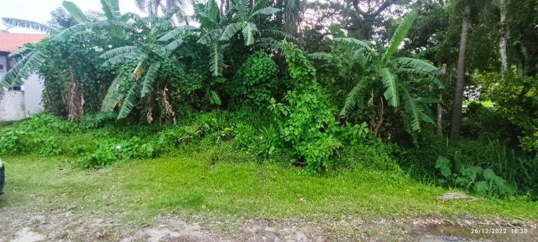 Imagem Terreno à Venda, 266 m² em Zimbros - Bombinhas