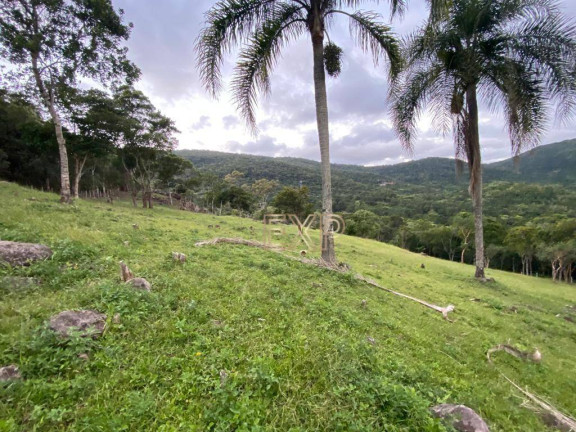 Imagem Imóvel à Venda, 77.000 m² em Ratones - Florianópolis Imagem Imóvel à Venda, 77.000 m² em Ratones - Florianópolis