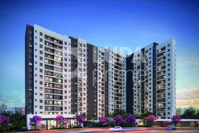 Imagem Apartamento com 2 Quartos à Venda, 55 m² em Jardim São Paulo - São Paulo Imagem Apartamento com 2 Quartos à Venda, 55 m² em Jardim São Paulo - São Paulo