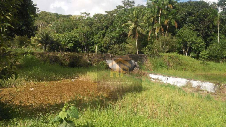 Imagem Chácara com 6 Quartos à Venda, 65.000 m² em Aldeia - Camaragibe