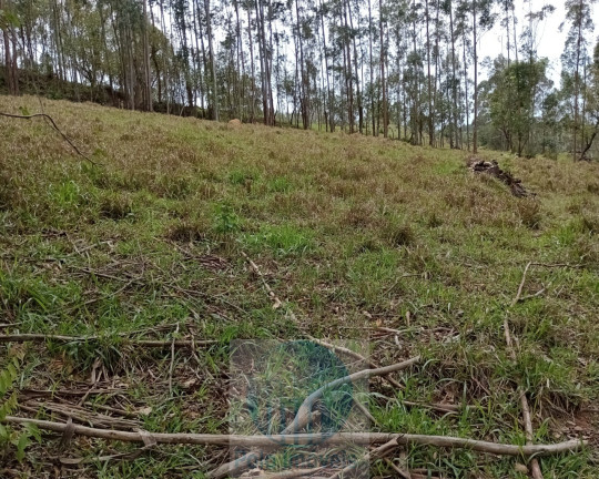 Imagem Imóvel com 2 Quartos à Venda, 150.000 m² em Rural - Jacuí Imagem Imóvel com 2 Quartos à Venda, 150.000 m² em Rural - Jacuí