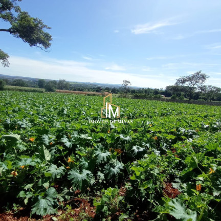 Terreno à Venda, 25.000 m² em Zona Rural - Igarapé