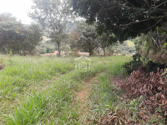 Imagem Imóvel à Venda, 30.000 m² em Conceição (rural) - Palmeiral Imagem Imóvel à Venda, 30.000 m² em Conceição (rural) - Palmeiral