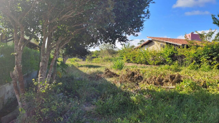 Imagem Terreno à Venda, 450 m² em Praia Da Pipa - Tibau Do Sul Imagem Terreno à Venda, 450 m² em Praia Da Pipa - Tibau Do Sul