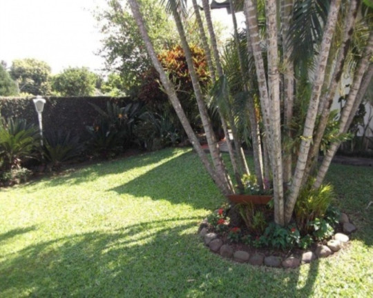 Imagem Casa com 3 Quartos à Venda, 160 m² em Santo Afonso - Novo Hamburgo