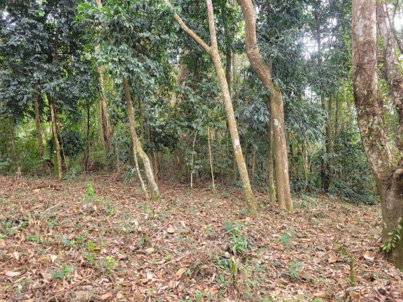 Imagem Chácara à Venda, 56 m² em Cachoeira Abaixo - Piracaia Imagem Chácara à Venda, 56 m² em Cachoeira Abaixo - Piracaia