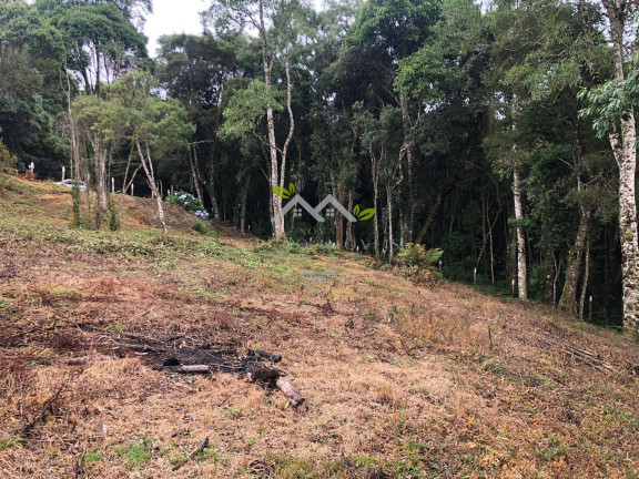 Imagem Terreno à Venda, 3 m² em Vila Inglesa - Campos Do Jordão Imagem Terreno à Venda, 3 m² em Vila Inglesa - Campos Do Jordão