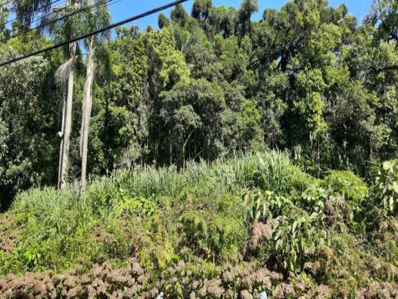 Imagem Terreno à Venda, 448 m² em Vila Olinda - Nova Petrópolis