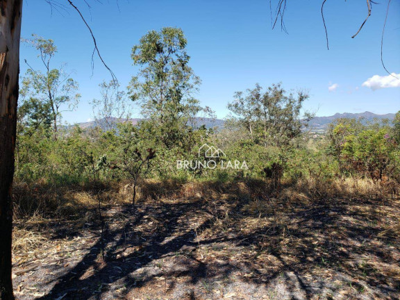 Imagem Terreno à Venda, 60.000 m² em Novo Igarapé - Igarapé
