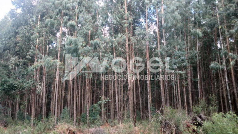Imagem Imóvel à Venda, 129 m² em Bairro Não Informado - Julio De Castilhos Imagem Imóvel à Venda, 129 m² em Bairro Não Informado - Julio De Castilhos