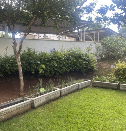 Imagem Apartamento com 2 Quartos à Venda, 49 m² em Campos Elíseos - Ribeirão Preto Imagem Apartamento com 2 Quartos à Venda, 49 m² em Campos Elíseos - Ribeirão Preto
