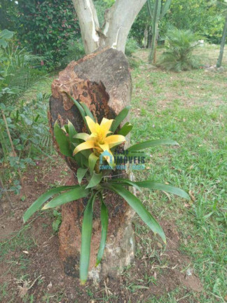 Imagem Fazenda à Venda, 180 m² em Glorinha - Glorinha Imagem Fazenda à Venda, 180 m² em Glorinha - Glorinha