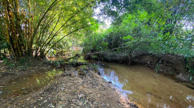 Imagem Imóvel com 3 Quartos à Venda, 12.000 m² em Cachoeira - Antonina