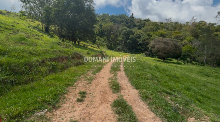 Imagem Imóvel à Venda, em Região Do Bairro Dos Tabacos - Campos Do Jordão Imagem Imóvel à Venda, em Região Do Bairro Dos Tabacos - Campos Do Jordão