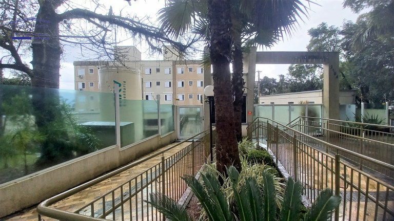 Imagem Imóvel com 2 Quartos à Venda, 48 m² em Cavalhada - Porto Alegre