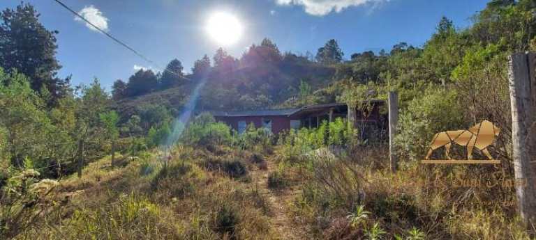 Imagem Terreno à Venda, 3.200 m² em Descansópolis - Campos Do Jordão Imagem Terreno à Venda, 3.200 m² em Descansópolis - Campos Do Jordão