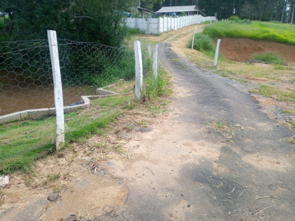 Imagem Chácara com 3 Quartos à Venda, 160 m² em Curitibanos - Bragança Paulista