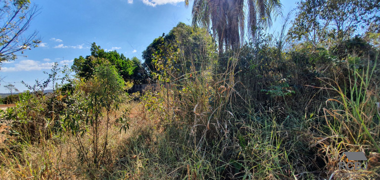 Imagem Terreno à Venda, 980 m² em Fernão Dias - Esmeraldas Imagem Terreno à Venda, 980 m² em Fernão Dias - Esmeraldas