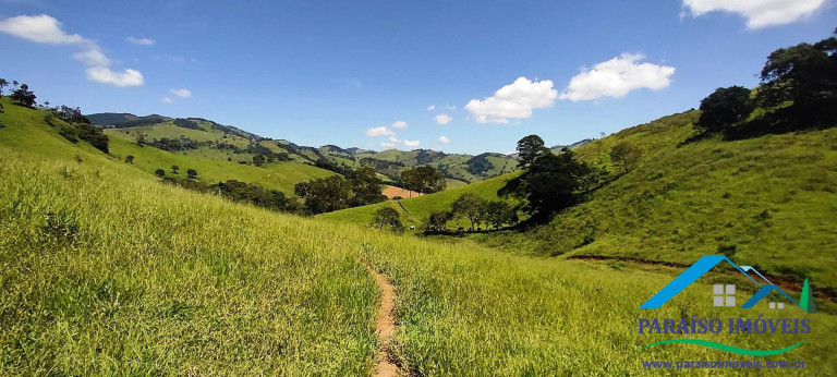 Imagem Chácara à Venda, 24 m² em Centro - Paraisópolis Imagem Chácara à Venda, 24 m² em Centro - Paraisópolis