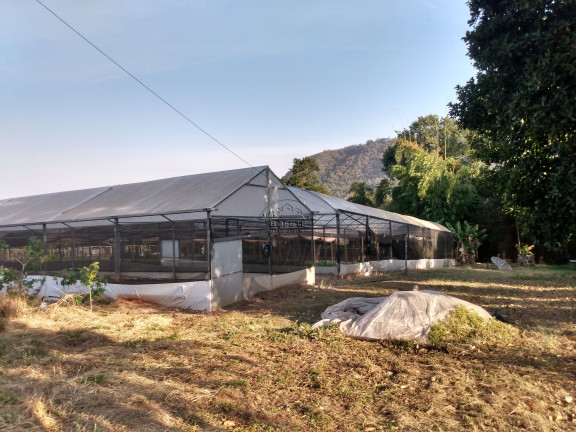 Imagem Imóvel com 1 Quarto à Venda, 21.300 m² em São Marcos - Bofete