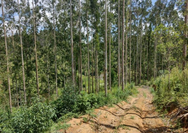 Imagem Imóvel à Venda, 72.600 m² em Ribeirão Do Tigre - Quatro Barras