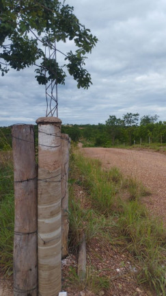Imagem Terreno à Venda ou Locação, 5.000 m² em Zona Rural - Coxipó Do Ouro (cuiabá) - Distrito Imagem Terreno à Venda ou Locação, 5.000 m² em Zona Rural - Coxipó Do Ouro (cuiabá) - Distrito