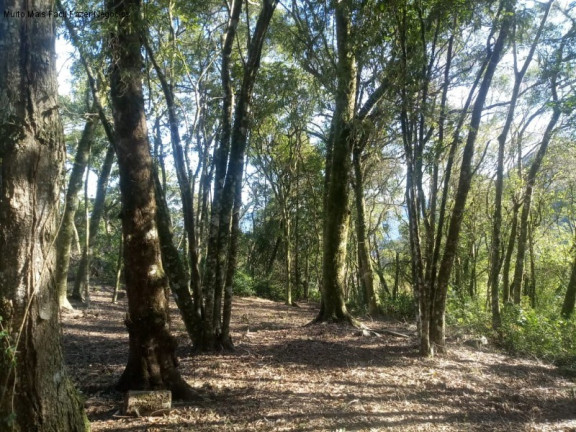 Terreno à Venda, 1.646 m² em Pousada Da Neve - Nova Petrópolis