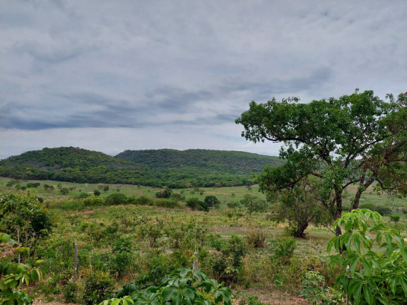Imagem Fazenda à Venda, 1.033 m² em Centro - Buenópolis