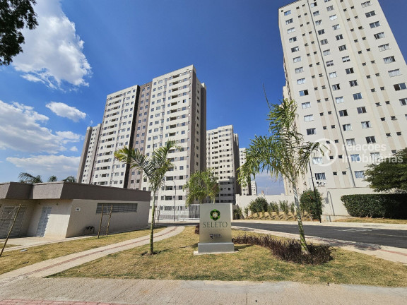 Apartamento com 3 Quartos para Alugar, 65 m² em Jk - Contagem