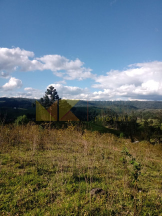 Imagem Fazenda à Venda, 59.000 m² em Alto Cedros - Rio Dos Cedros