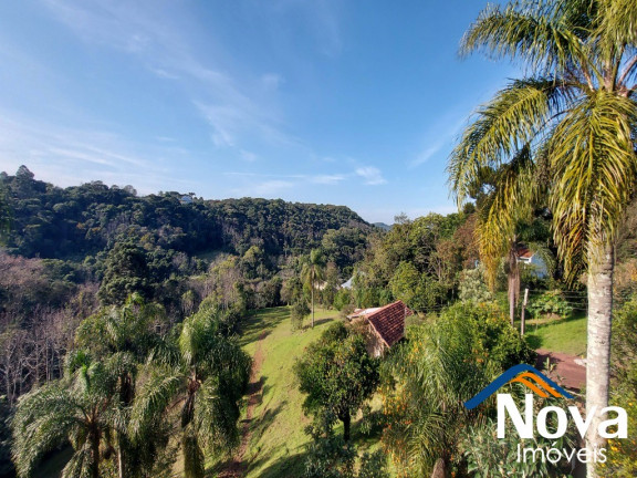 Imagem Fazenda à Venda,  em Centro - Nova Petrópolis