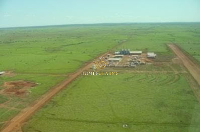 Imagem Imóvel com 4 Quartos à Venda, 103.000 m² em Zona Rural - Porto Alegre Do Norte Imagem Imóvel com 4 Quartos à Venda, 103.000 m² em Zona Rural - Porto Alegre Do Norte