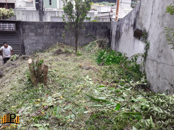 Imagem Terreno à Venda, 300 m² em Parque Dos Passaros - São Bernardo Do Campo