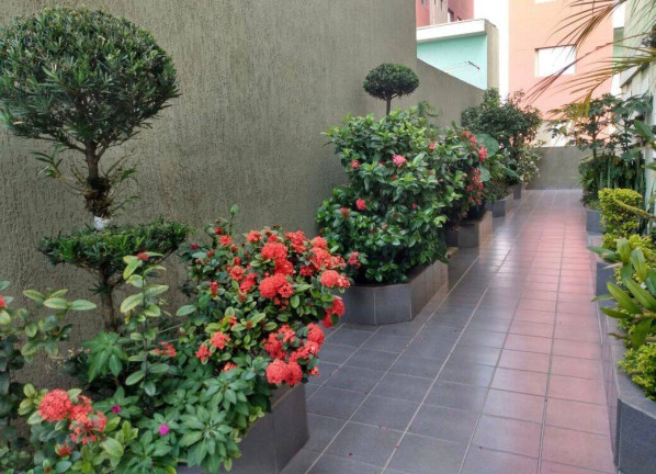 Imagem Apartamento com 2 Quartos à Venda, 60 m² em Rudge Ramos - São Bernardo Do Campo Imagem Apartamento com 2 Quartos à Venda, 60 m² em Rudge Ramos - São Bernardo Do Campo
